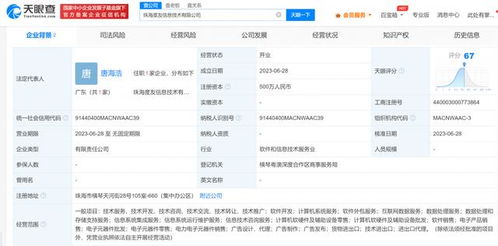 成立新公司 專注數(shù)據(jù)處理服務(wù)的戰(zhàn)略與前景